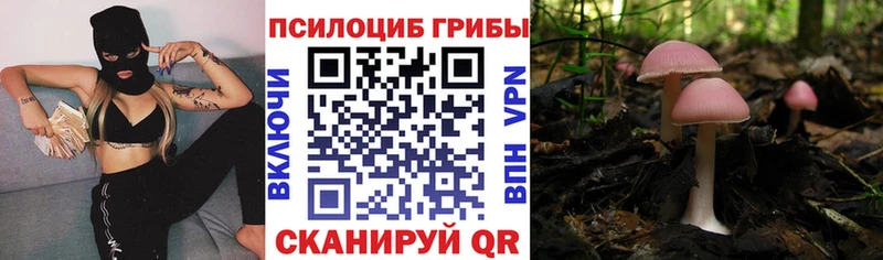 Псилоцибиновые грибы ЛСД  Сасово 